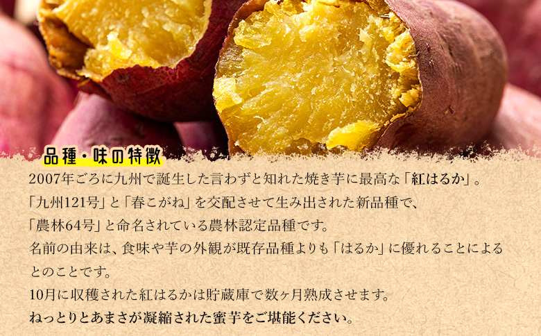 さつまいも(紅はるか) Mサイズ 2kg - サツマイモ さつま芋 野菜 焼き芋 やきいも 焼いも 蒸し芋 おやつ スイーツ スイートポテト 国産 アスタ農園 高知県 香南市【常温】 at-0007