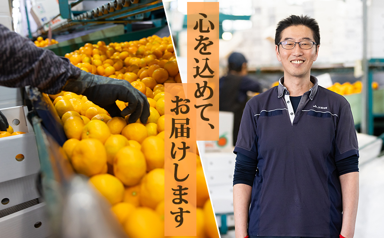 ã2026幎çºéåãå±±åæž©å®€ã¿ãã çŽ2.5kg - ç§å æç© ãã ãã® ãã«ãŒã ææ© ãã«ã³ èæ çã ããŸã ãããã ãã«ãŒã èŽãç© ã®ãã ãã¬ãŒã³ã ãåãå¯ã ããšããã ã°ã«ã¡ ç£å°çŽé ç¹ç£å ãã¶ãŒã æ¬ å£ç¯ åœç£ ãžã¥ãŒã·ãŒ ãã¬ãã·ã¥ çœãã ãèªå®
çš ãããåã æå® ã¿ãã¿ããã 埡瀌 ã瀌 å
ç¥ã ãžã£ã ããã¬ãŒã æç ã¢ã¬ã³ãž æééå® æ°ééå® éæç¡æ ã®ã察å¿å¯ çš æ é€ ãã¿ãã³ é«ç¥ç éŠååž åžžæž© ku-0051