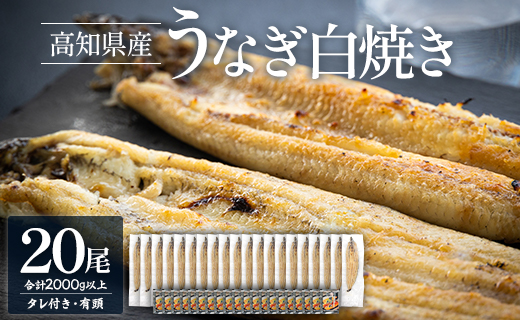 【数量限定】うなぎ 白焼き 2kg以上 20尾×100〜120g - 蒲焼き タレ付き 国産 鰻 ウナギ 有頭 背開き つまみ ご飯のお供 老舗 土佐湾 吉川水産 高知県 香南市 冷凍 yw-0083