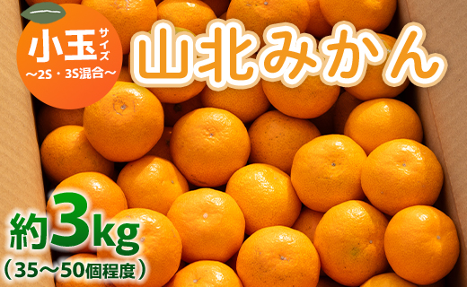 山北みかん 小玉サイズ(2S,3Sサイズ) 3kg…