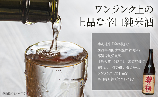 土佐の素材100%！龍の夢セット720ml×2本 gs-0120