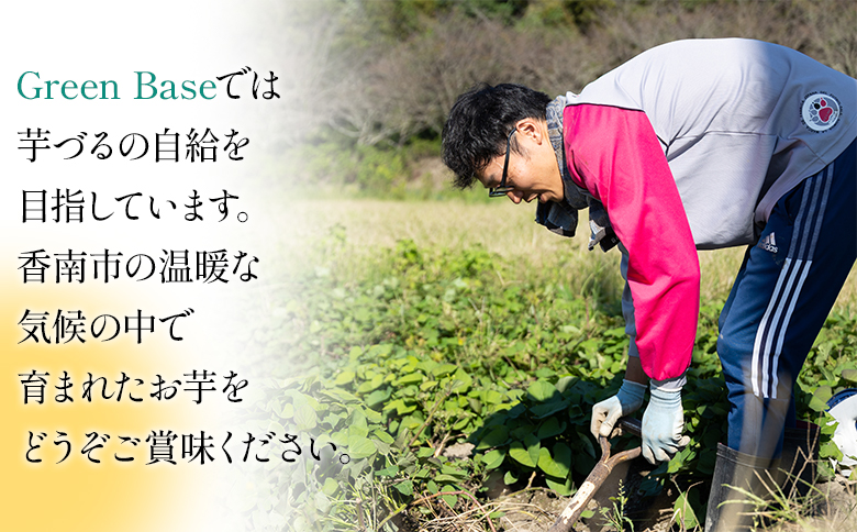 ãã€ãŸãã çŽ
ã¯ãã10kg - ãµããã€ã¢ ãã€ãŸè éè çŒãè ãããã çŒãã ãã〠ã¹ã€ãŒã ã¹ã€ãŒãããã 倩ã·ã åœç£ é«ç¥ç éŠååž gr-0133