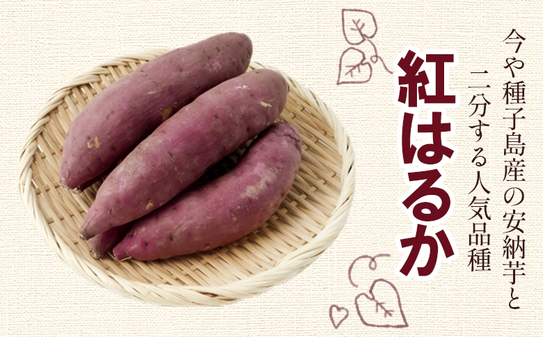 ãã€ãŸãã çŽ
ã¯ãã10kg - ãµããã€ã¢ ãã€ãŸè éè çŒãè ãããã çŒãã ãã〠ã¹ã€ãŒã ã¹ã€ãŒãããã 倩ã·ã åœç£ é«ç¥ç éŠååž gr-0133