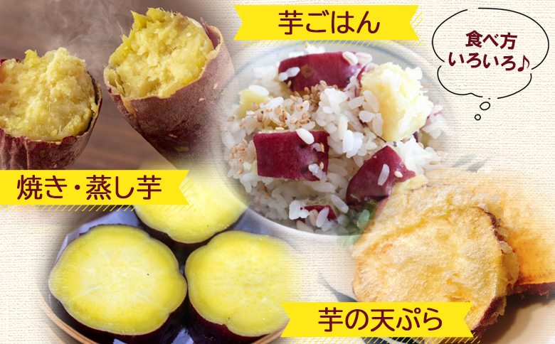 ãã€ãŸãã çŽ
ã¯ãã10kg - ãµããã€ã¢ ãã€ãŸè éè çŒãè ãããã çŒãã ãã〠ã¹ã€ãŒã ã¹ã€ãŒãããã 倩ã·ã åœç£ é«ç¥ç éŠååž gr-0133