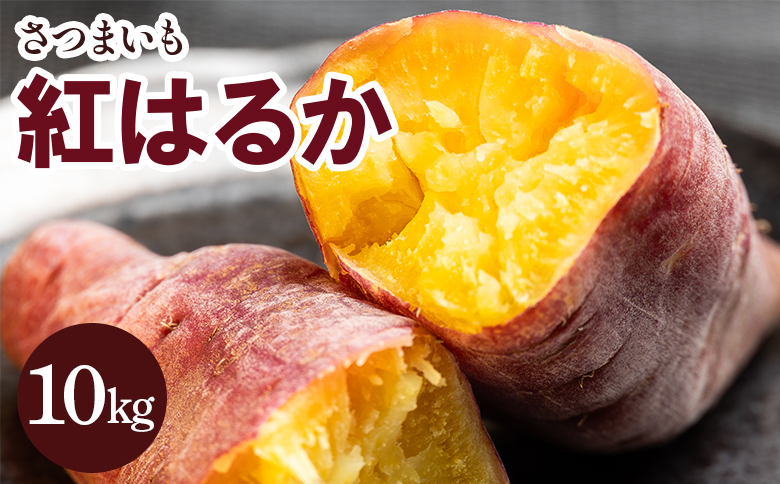 ãã€ãŸãã çŽ
ã¯ãã10kg - ãµããã€ã¢ ãã€ãŸè éè çŒãè ãããã çŒãã ãã〠ã¹ã€ãŒã ã¹ã€ãŒãããã 倩ã·ã åœç£ é«ç¥ç éŠååž gr-0133