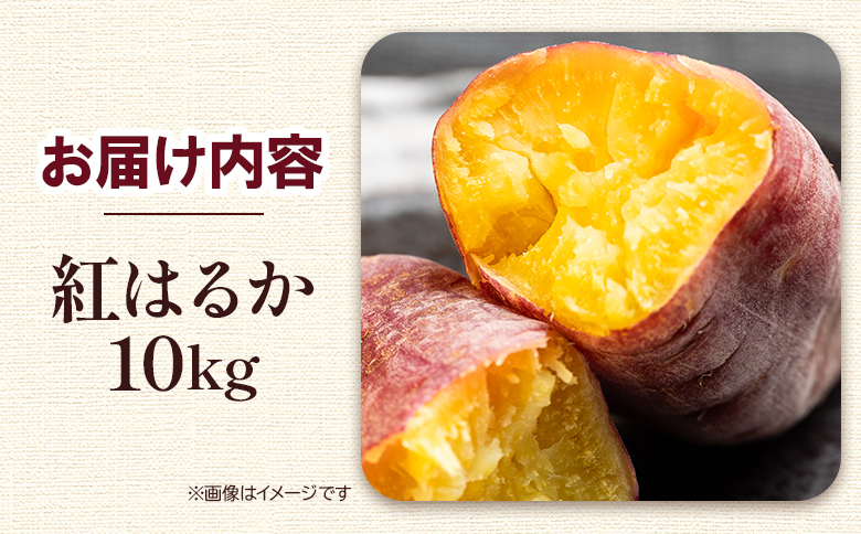 ãã€ãŸãã çŽ
ã¯ãã10kg - ãµããã€ã¢ ãã€ãŸè éè çŒãè ãããã çŒãã ãã〠ã¹ã€ãŒã ã¹ã€ãŒãããã 倩ã·ã åœç£ é«ç¥ç éŠååž gr-0133