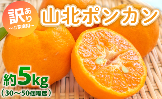 ぽんかん 5kg(約30〜50個程度) 訳あり 山…