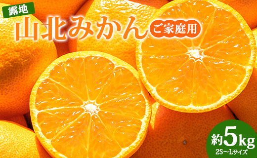 [先行受付]みかん 5kg 山北みかん (家庭用・露地) 果物 フルーツ 温州みかん ミカン 柑橘 おいしい 甘い 送料無料 高知県 香南市 1万円以上 10000円以上 常温 ku-0022