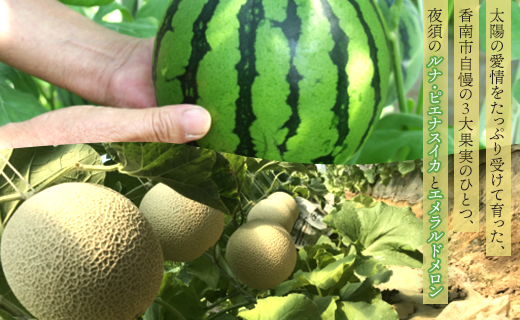 【期間限定】ルナ・ピエナスイカと夜須のエメラルドメロンセット 各1玉 - 送料無料 果物 くだもの フルーツ めろん すいか 甘い ギフト 贈答用 お祝い 御祝 お礼 御礼 特産品 yu-0015