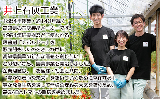 【先行予約受付】機能性表示食品 ミニトマト ゆうがたベーネ 約1kg - ミニトマト プチトマト フルーツトマト ギフト のし対応 高糖度 お歳暮 御歳暮 贈答用 贈り物 is-0013