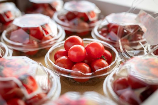 【先行予約】【2026年12月以降配送】高糖度＆高機能性 フルーツトマト 約150g×12パック - フルーツトマト 甘美の舞 小分け 野菜 フルティカトマト 完熟トマト 糖度8以上 ミニトマト プチトマト おすそ分け kr-0084