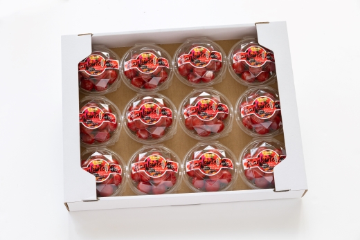 【先行予約】【2026年12月以降配送】高糖度＆高機能性 フルーツトマト 約150g×12パック - フルーツトマト 甘美の舞 小分け 野菜 フルティカトマト 完熟トマト 糖度8以上 ミニトマト プチトマト おすそ分け kr-0084