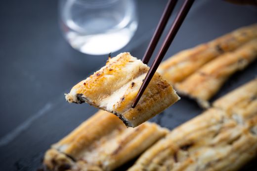 高知県産 うなぎの白焼き 4尾 合計600g以上 yw-0116