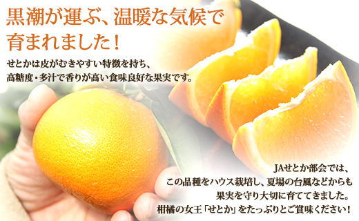 ã什å9幎2æçºééå§ããšãã£ãšãžã¥ãŒã·ãŒææ©ã®å¥³ç ããšã çŽ3kgïŒ8ã14çïŒ èŽççš ku-0057