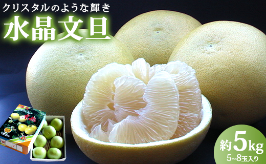 【令和8年9月中旬発送開始】先行予約受付！高知県香南市産 水晶文旦 約5kg（5〜８玉入り）- 送料無料 果物 くだもの フルーツ 柑橘 ブンタン ぶんたん みずみずしい デザート 期間限定 おすそ分け 贈答 高知県 香南市 ku-0056