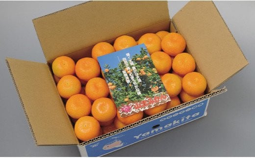 ã什å8幎10æäžæ¬çºééå§ãå±±åã¿ãã çŽ3kgïŒé²å°æ œå¹ 2SãLãµã€ãºïŒäžåºŠé£ã¹ããããã«ãªãïŒã¿ãã ãã«ã³ èæ åžžæž©ã¿ãã ãã©ã³ãã¿ãã æç© ãã«ãŒã ç£å°çŽé é«ç¥çç£ JAé«ç¥ åžžæž© ku-0052