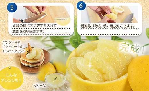 ã什å9幎1æäžæ¬çºééå§ãèš³ãã åäœææŠ å®¶åºçš çŽ10kg ku-0058