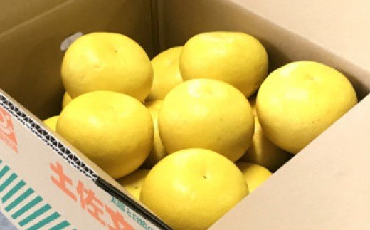 ã什å9幎1æäžæ¬çºééå§ãèš³ãã åäœææŠ å®¶åºçš çŽ10kg ku-0058