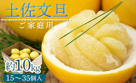【令和9年1月下旬発送開始】訳あり 土佐文旦 家庭用 約10kg ku-0058