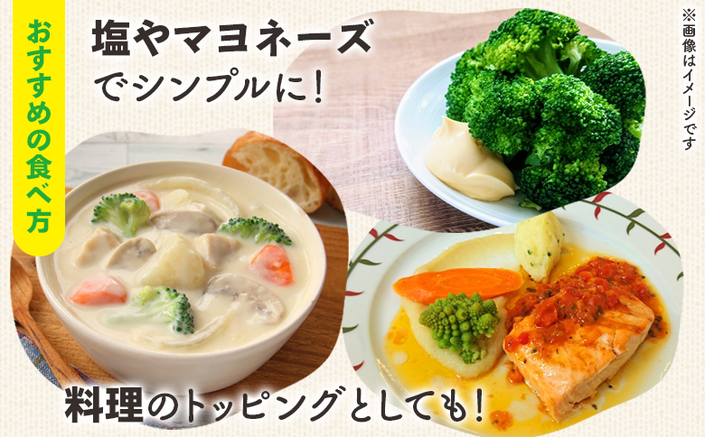 【先行受付】食べ比べセット ブロッコリー カリフラワー ロマネスコ 全3種 - やさい 詰め合わせ 詰合せ 簡単料理 朝採れ 新鮮 無農薬 産地直送 旬彩ファームやまさき 高知県 香南市「2026年1月中旬より順次配送」 sy-0007