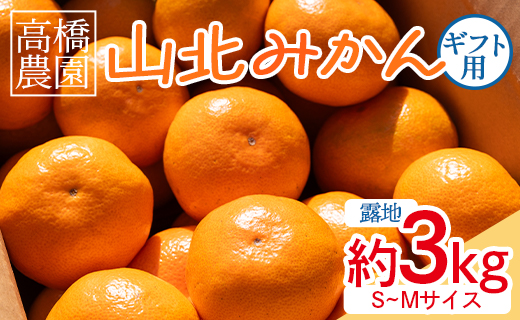 【2026年11月中旬より順次配送】山北みかん 約3kg（露地・Ｓ〜Ｍサイズ）- 果物 フルーツ 温州みかん ミカン 蜜柑 柑橘 甘い 送料無料 ギフト 贈答用 高橋農園 高知県 香南市 th-0023
