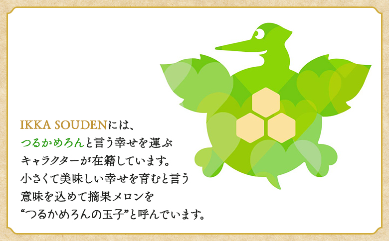 つるかめろんの玉子(摘果メロン) 2kg 約16玉 - マスクメロン めろん フルーツ くだもの 果物 おやつ おつまみ アレンジ 料理 お漬物 お漬け物 炒め物 天ぷら 子メロン 小さい 産地直送 篤農 tn-0015