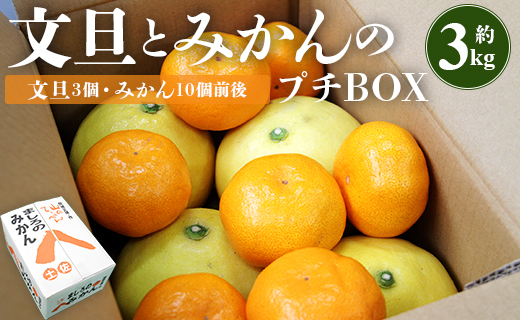 [先行予約]文旦とみかんのプチBOX 約3kg - 果物 くだもの フルーツ 柑橘類 ぶんたん ブンタン ミカン 詰め合わせ つめあわせ セット 食べ比べ お楽しみ お試し おいしい 特産品 間城農園 高知県 香南市 ms-0040