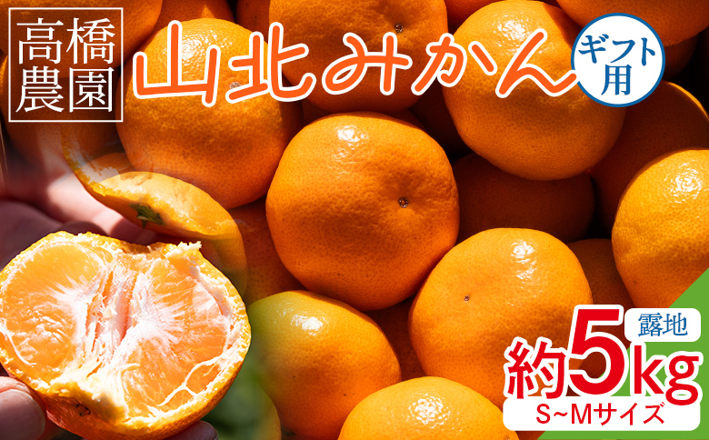 【2026年11月中旬より順次配送】山北みかん 約5kg（露地・S〜Mサイズ）- 果物 フルーツ 柑橘 先行予約 おすそ分け ギフト のし 配送日指定不可 数量限定 期間限定 季節限定 送料無料 高橋農園 高知県 香南市 th-0024