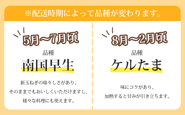 玉ねぎ 約5kg（大小混合・家庭用）- 香南市産 国産 たまねぎ タマネギ 玉葱 野菜 オニオンスープ ハンバーグ 常備野菜 保存野菜 香南くろしお園 高知県 香南市 ke-0004