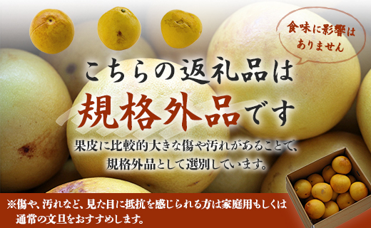 【先行予約】訳あり 土佐文旦 約10kg（規格外 2L～4Lサイズ）- 家庭用 期間限定 送料無料 果物 フルーツ 柑橘 高知県産 ぶんたん ブンタン ざぼん ザボン 季節限定 デザート 傷 お取り寄せ 産地直送 特産品 間城農園 高知県 香南市 常温 ms-0051