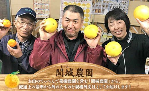 【先行予約】訳あり 土佐文旦 約10kg（規格外 2L～4Lサイズ）- 家庭用 期間限定 送料無料 果物 フルーツ 柑橘 高知県産 ぶんたん ブンタン ざぼん ザボン 季節限定 デザート 傷 お取り寄せ 産地直送 特産品 間城農園 高知県 香南市 常温 ms-0051