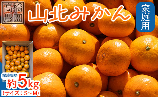 山北みかん（露地・S～Mサイズ）約5kg 家庭用 - 小傷あり 送料無料 露地栽培 柑橘 果物 フルーツ ミカン 蜜柑 期間限定 季節限定 家庭用 国産 特産品 高橋農園 高知県 香南市 th-0015