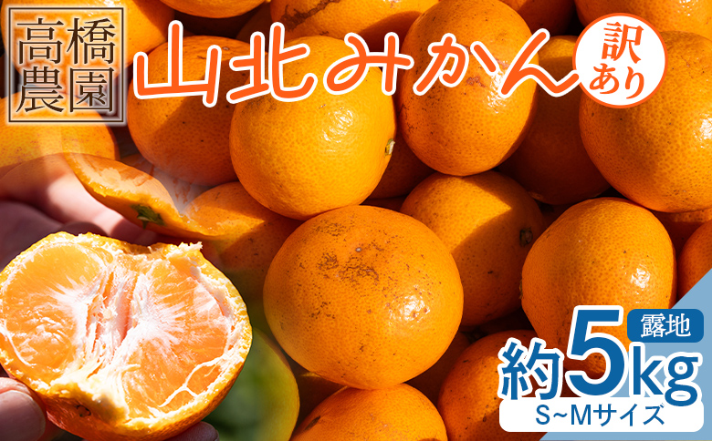 山北みかん(露地・S〜Mサイズ)約5kg 家庭用 - 小傷あり 送料無料 露地栽培 柑橘 果物 フルーツ ミカン 蜜柑 期間限定 季節限定 家庭用 国産 特産品 高橋農園 高知県 香南市 th-0015