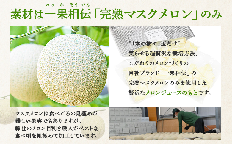 【3回定期便】メロンジュースのもと 約800ｇ 約165g×5パック - 国産 マスクメロン 完熟 飲み物 飲料 甘い フルーツジュース ジュース スムージー アレンジ カットメロン 果物 くだもの フルーツ めろん 篤農 高知県 香南市 冷凍 Wtn-0034