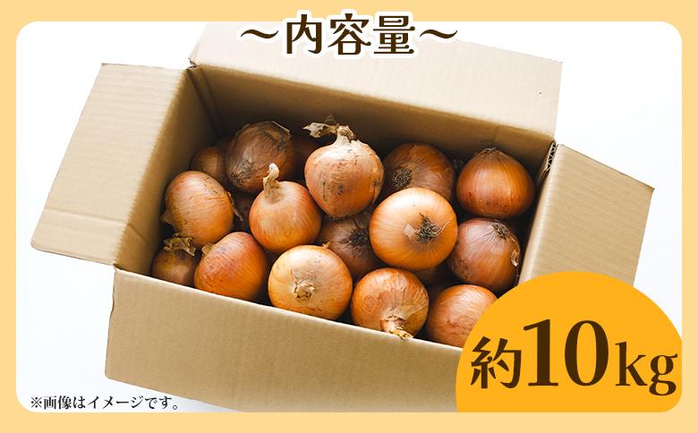 玉ねぎ 約10kg（大小混合・家庭用）- 香南市産 国産 たまねぎ タマネギ 玉葱 野菜 オニオンスープ ハンバーグ 常備野菜 保存野菜 香南くろしお園 高知県 香南市 ke-0006