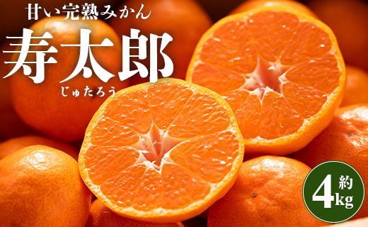 甘い完熟みかん 寿太郎（じゅたろう）約4kg - 送料無料 フルーツ 果物 くだもの ミカン 蜜柑 柑橘類 あまい おいしい 数量限定 期間限定 季節もの 間城農園 高知県 香南市 ms-0086