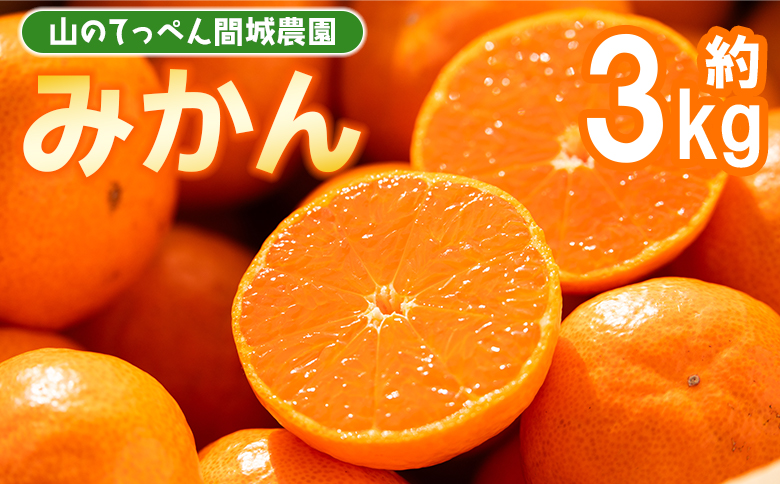 【数量限定】山のてっぺん 間城農園 みかん 約3kg - 送料無料 温州みかん ミカン 蜜柑 フルーツ 柑橘 果物 くだもの 甘い あまい おいしい 期間限定 配送日指定不可 高知県 香南市【常温】ms-0083