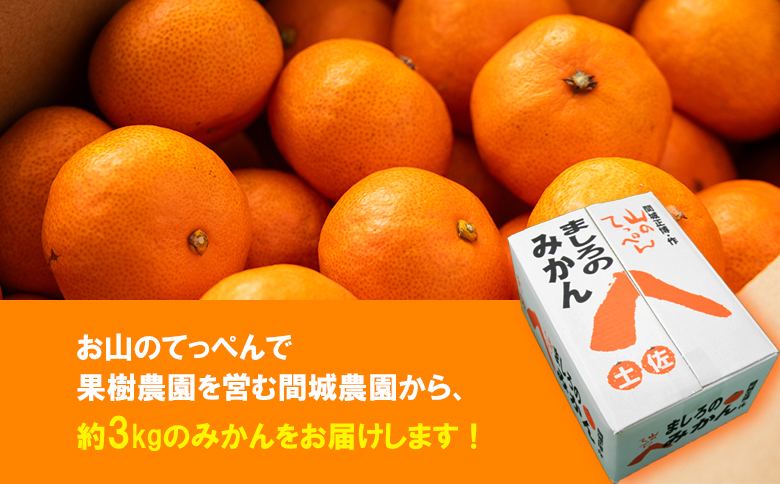 ãæ°ééå®ãå±±ã®ãŠã£ãºã éå蟲å ã¿ãã çŽ3kg - éæç¡æ æž©å·ã¿ãã ãã«ã³ èæ ãã«ãŒã ææ© æç© ãã ãã® çã ããŸã ãããã æééå® é
鿥æå®äžå¯ é«ç¥ç éŠååžãåžžæž©ãms-0083