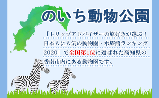 ハシビロコウTシャツ - 送料無料 のいち動物公園 動物園 トリップアドバイザー2020オシャレ おしゃれ 可愛い かわいい カワイイ 動物好き 綿 100% めん とり 鳥 鳥好き グッズ 洋服 ファッション tシャツ 青 紺 メンズ レディ―ス 快適 ご当地tシャツ 鳥類 おもしろ かっこいい  面白い アニマル 服 衣服 サイズ Ｍ Ｌ 半袖 高知県 香南市 常温 ni-0004