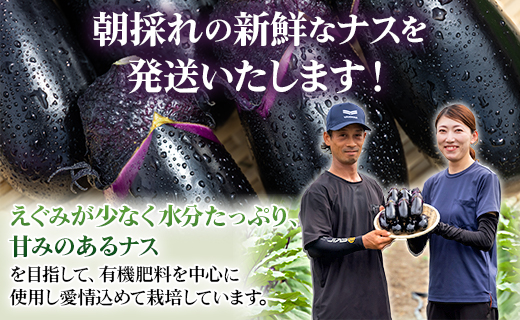 遶倶サ呵セイ蝨 縺縺。縺ョ繝翫せ 蜷郁ィ5kg - 縺ェ縺 闌蟄 縺ェ縺吶ウ 繝翫せ繝 逕滄ョョ 驥手除 繧縺輔> 譛晄治繧 譁ー魄ョ rs-0003