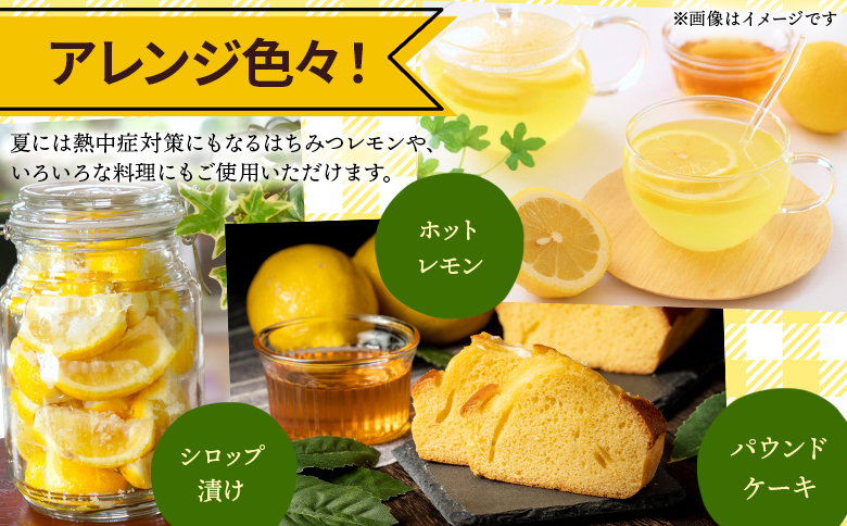 レモン 3kg - 香南市産 国産 檸檬 れもん 果物 くだもの フルーツ 野菜 柑橘 果汁 料理 アレンジ はちみつレモンパウンドケーキ 高知県 香南市 常温 冷蔵 sj-0011
