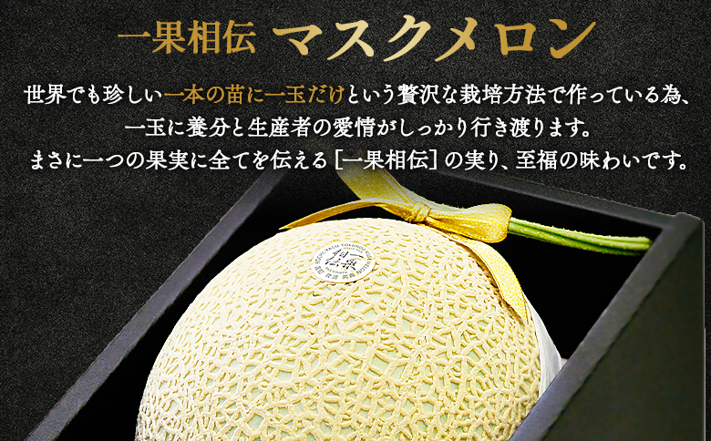 【期間限定】一果相伝 マスクメロン 1玉入り - 送料無料 めろん 青肉 果物 くだもの フルーツ 贈答用 贈答品 贈り物 ギフト お祝い 御祝い 感謝 熨斗 のし対応可 産地直送 新鮮 篤農 高級 贅沢 ぜいたく ご褒美 ごほうび おいしい 美味しい 甘い あまい フレッシュ ジューシー 果汁 果肉 果実 スイーツ デザート 特別 プレゼント おとりよせ お取り寄せ グルメ 大きい 記念日 誕生日 お中元 お歳暮 箱入り 1万円以上 10000円以上 とくのう 高知県 香南市 常温 tn-0010