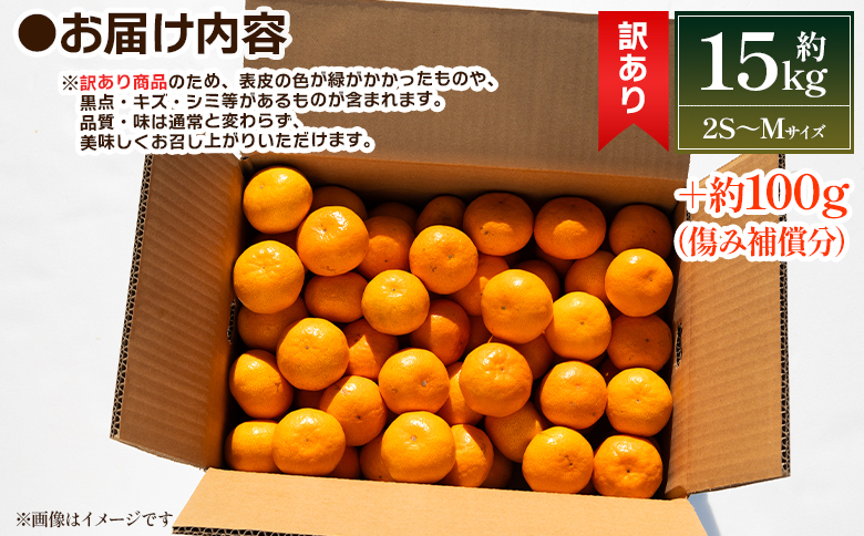 【2026年出荷分】訳あり 露地みかん(2S～Mサイズ) 15kg＋約100g (傷み補償分) 丸萬農園 - 果物 くだもの フルーツ 果実 柑橘 かんきつ 蜜柑 みかん ミカン 果汁 期間限定 家庭用 訳アリ キズ 傷 高知県 香南市 常温 mn-0014