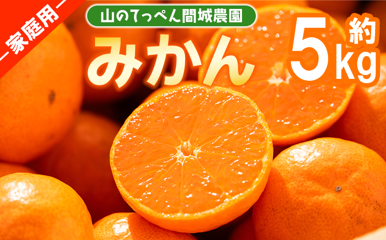 山のてっぺん 間城農園 みかん (家庭用) 約5kg - 果物 くだもの フルーツ 柑橘 温州みかん ミカン 送料無料 数量限定 期間限定 高知県 香南市【常温】 ms-0084