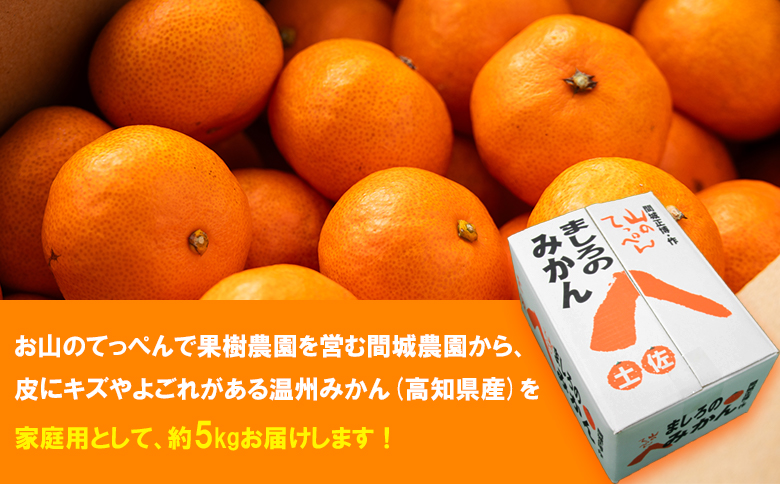 山のてっぺん 間城農園 みかん (家庭用) 約5kg - 果物 くだもの フルーツ 柑橘 温州みかん ミカン 送料無料 数量限定 期間限定 高知県 香南市【常温】 ms-0084