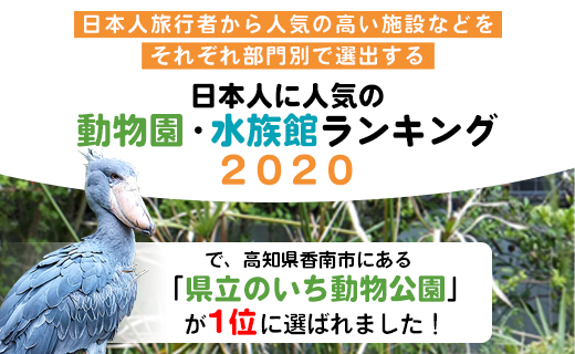 のいち動物公園の年間入園券引換券 - 送料無料 大人用 1枚 1人 動物園 入場券 チケット 自然好き ギフト贈答用 贈り物 プレゼント 動物大好き 観光 遊び あそび いやし 癒しスポット 動物園好き 年パス 年間パスポート 旅行 旅 トラベル 施設 思い出 休日 1年間 アニマル 高知県 香南市 常温 ni-0003