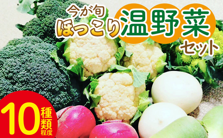 野菜 まさに旬 ほっこり温野菜セット -お野菜詰め合わせ 朝採れ 朝採り 新鮮 お手軽 簡単調理 ブロッコリー 人参 にんじん ニンジン カリフラワー 大根 だいこん かぶ カブ 鍋 炒め 蒸し 無農薬 産地直送 特産品 旬彩ファームやまさき 高知県 香南市 sy-0006