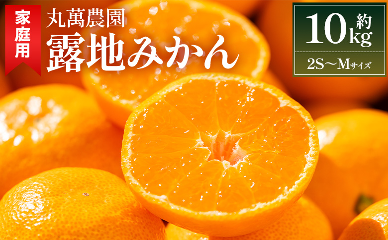 【2025年出荷分】露地みかん(2S～Mサイズ) 10kg 家庭用 丸萬農園 - 果物 くだもの フルーツ 果実 柑橘 かんきつ 蜜柑 みかん ミカン 果汁 期間限定 訳あり 訳アリ キズ 傷 高知県 香南市 常温 mn-0005