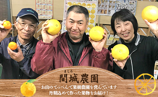 【先行予約】文旦と黄金柑のプチBOX 合計約3kg - ぶんたん ブンタン 果物 くだもの フルーツ 柑橘 みかん 詰め合わせ セット 食べ比べ お試し お楽しみ 間城農園 高知県 香南市 常温 ms-0041