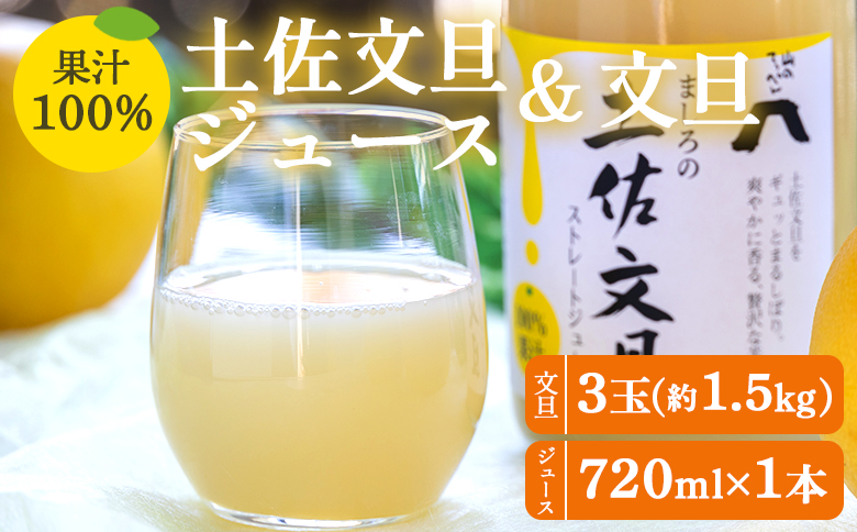 土佐文旦ジュース 720ml×1本＆文旦 約1.5kg（3玉）- 送料無料 ぶんたん フルーツ 果物 くだもの 柑橘 国産 果実 果汁100％ ドリンク 飲み物 山のてっぺん間城農園 糖度13度以上 高知県 香南市 ms-0070